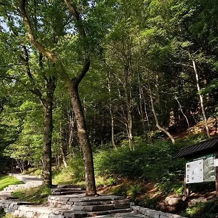 Quartet Bryggen - Quiet And Cozy - Norwegians Minimum Age 25 * ברגן