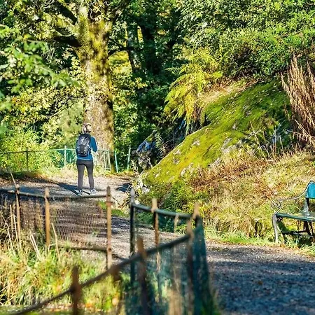 Quartet Bryggen - Quiet And Cozy - Norwegians Minimum Age 25 ברגן